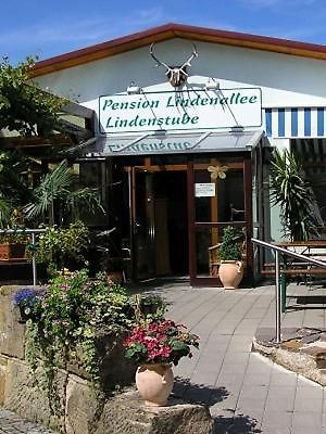 Pension Lindenallee Neuendettelsau エクステリア 写真